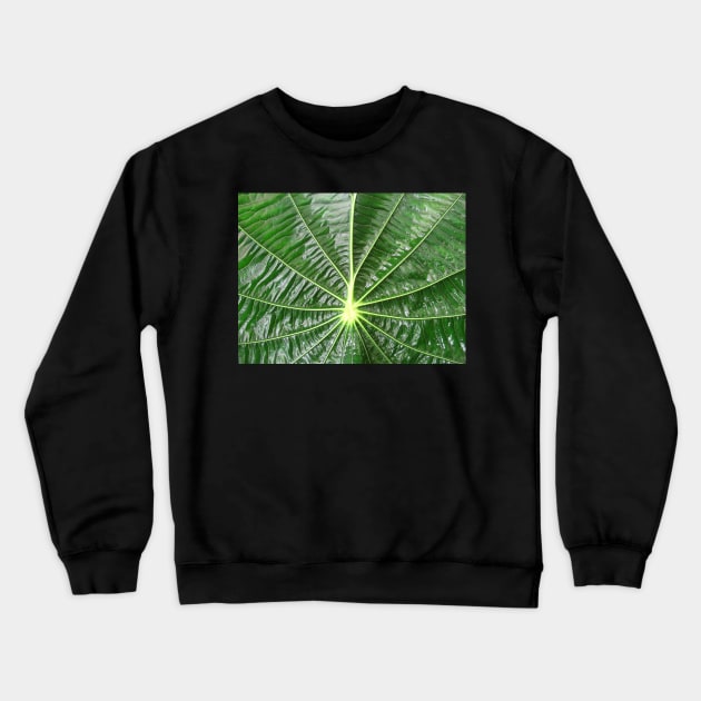 green leaf of a plant, leaves, green, nature, natural, floral, flora Crewneck Sweatshirt by rh_naturestyles